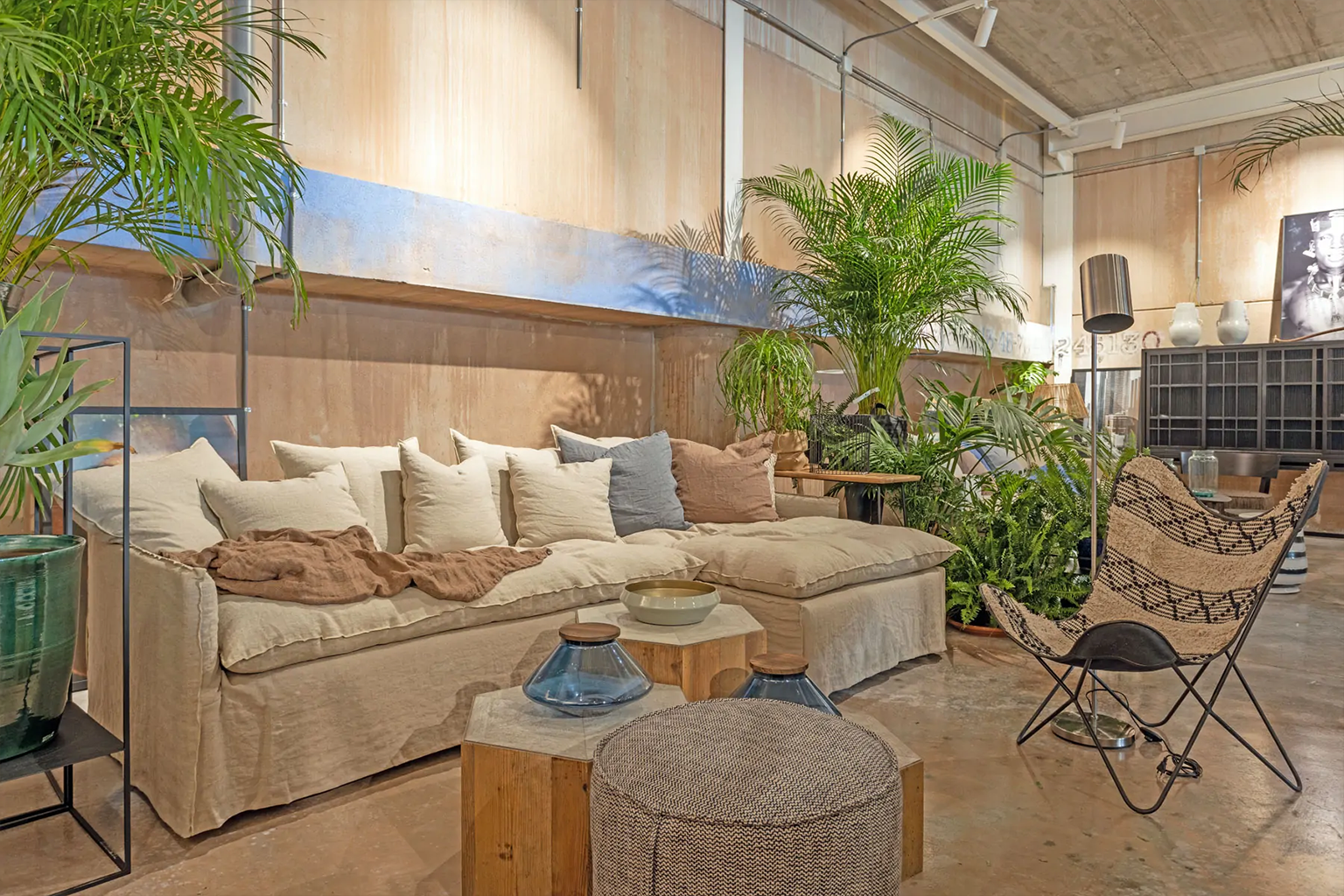 linus-soft-ambientada-lino-3